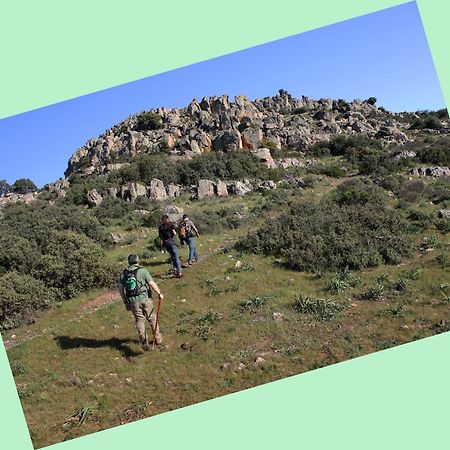 Complejo Turistico Rural Fuente Taray Lejlighed Malagón Eksteriør billede