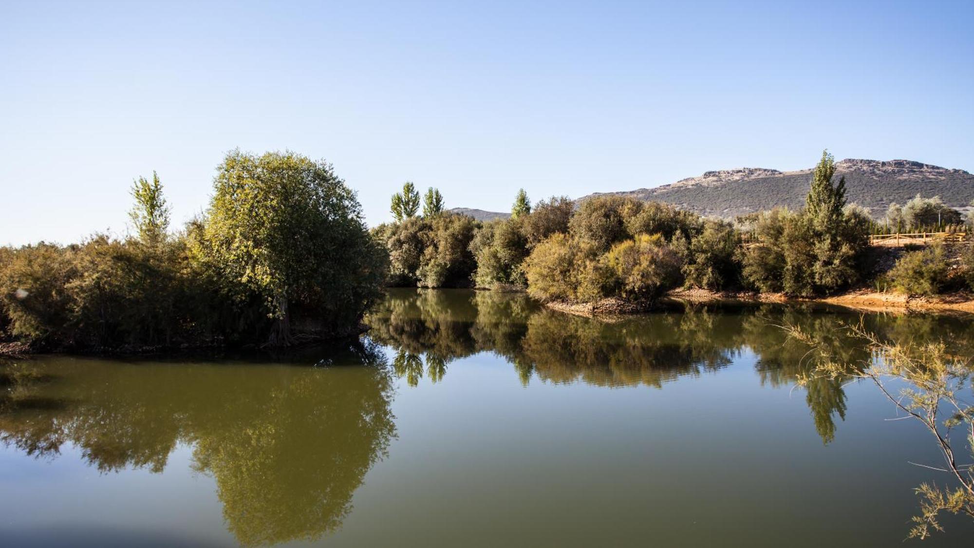 Complejo Turistico Rural Fuente Taray Lejlighed Malagón Eksteriør billede
